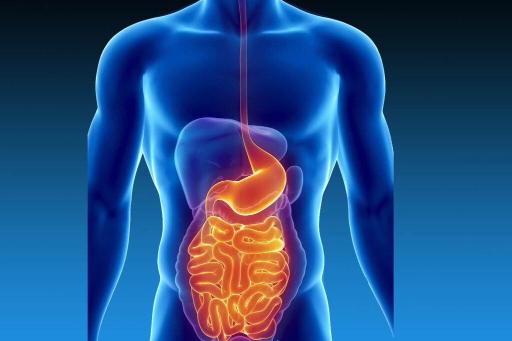 Gastroenterology | Indira Super Speciality Hospital | General Surgery ...